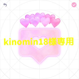 kinomin18様専用(アイドル)