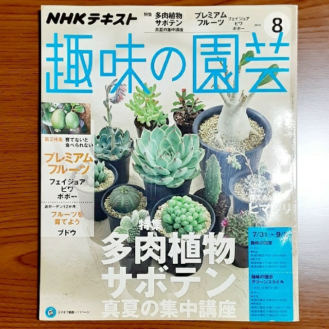 NHK 趣味の園芸 2016年 08月号 エンタメ/ホビーの雑誌(専門誌)の商品写真