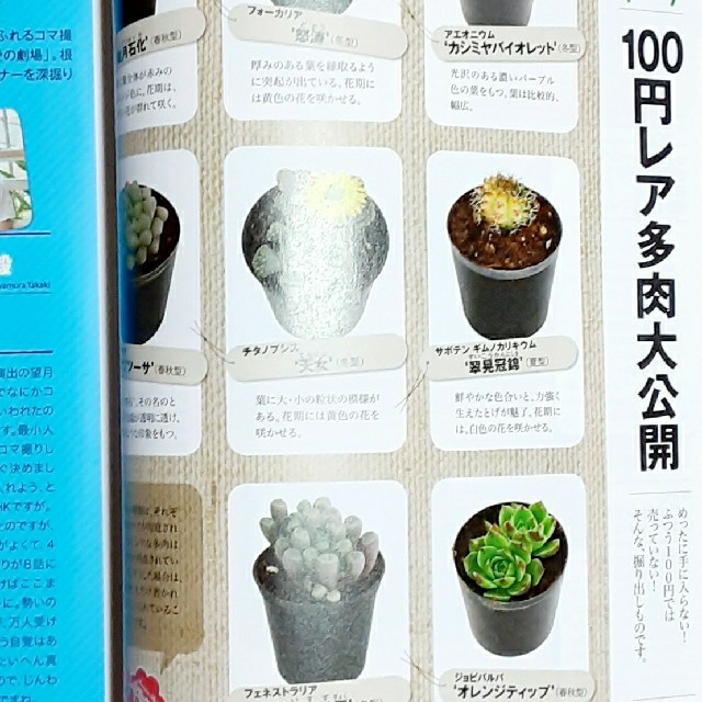 NHK 趣味の園芸 2016年 08月号 エンタメ/ホビーの雑誌(専門誌)の商品写真
