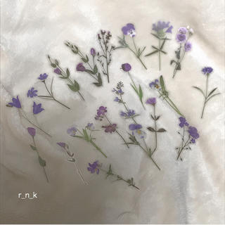 ロキエ(Lochie)の∵ purple flower ステッカー∵ 韓国　アンティークシール(シール)
