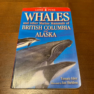 Whales and Other Marine Mammals of Briti(洋書)