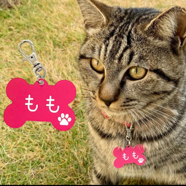 【名入れ彫刻】愛犬・愛猫用 ネームタグ プレート ホネVer. その他のペット用品(犬)の商品写真