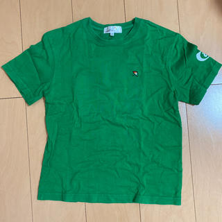 アーノルドパーマー(Arnold Palmer)のアーノルドパーマー  レディース ティシャツ(Tシャツ(半袖/袖なし))