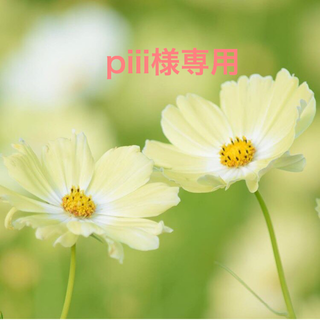 piii様専用(カラージェル)
