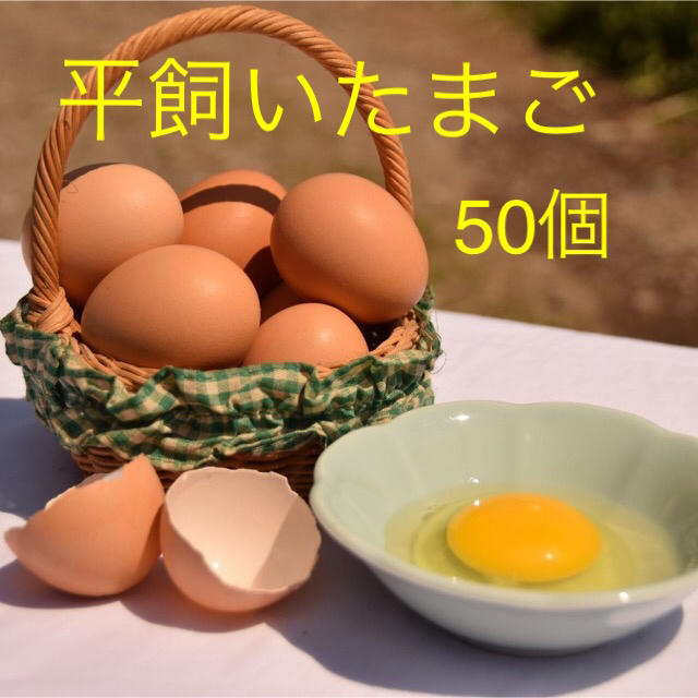 平飼いたまご　✴︎高原卵10個入り5パック✴︎ 国産もみじの卵 食品/飲料/酒の食品(野菜)の商品写真