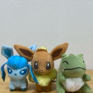 くよちさん専用　ポケモンみがわりぬいぐるみ(ぬいぐるみ)