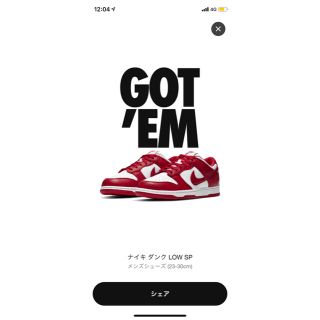 ナイキ(NIKE)のNIKE SB DUNK LOW 26cm(スニーカー)