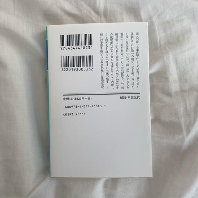 君が降る日 エンタメ/ホビーの本(文学/小説)の商品写真