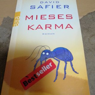 Mieses Karma  David Safier(人文/社会)