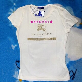 バーバリーブルーレーベル(BURBERRY BLUE LABEL)のBURBERRY ﾊﾞｰﾊﾞﾘｰ ﾌﾞﾙｰﾚｰﾍﾞﾙ Tｼｬﾂ 未使用 ﾎｰｽ (Tシャツ(半袖/袖なし))