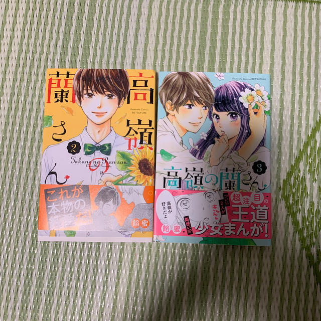 高嶺の蘭さん　2.3巻 エンタメ/ホビーの漫画(少女漫画)の商品写真