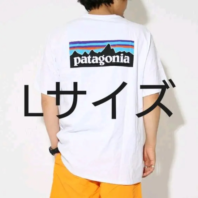 パタゴニア ロゴTシャツ 2020