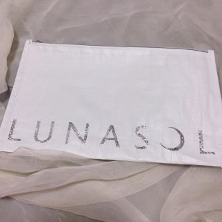 ルナソル(LUNASOL)のLUNASOL ポーチ マルチフラットポーチ 付録(ポーチ)