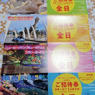 伊豆シャボテン公園 シャボテンリゾート 株主優待券 ４枚セット 全日 招待券 (動物園)