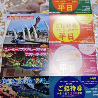 伊豆シャボテンリゾート株主優待券 伊豆シャボテン動物公園他 ４枚セット 平日2名(動物園)