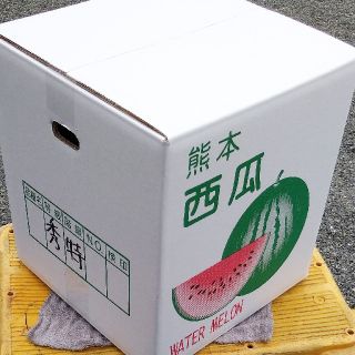 【送料無料】特大大玉スイカ10kg以上熊本産ハウススイカ“だんらん”秀品特サイズ(フルーツ)