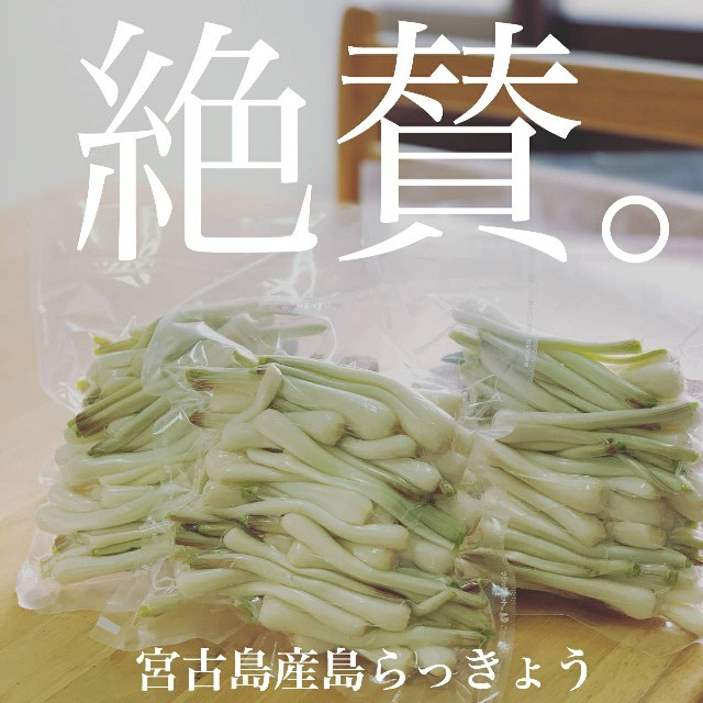 宮古島産　島らっきょう　1kg 食品/飲料/酒の食品(野菜)の商品写真