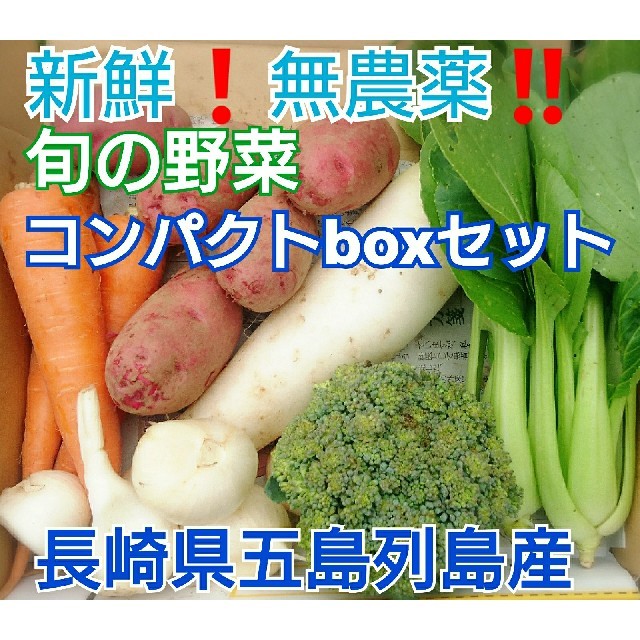 無農薬❗新鮮野菜セット〈コンパクトbox〉(ラインナップのこ確認を) 五島列島産 食品/飲料/酒の食品(野菜)の商品写真