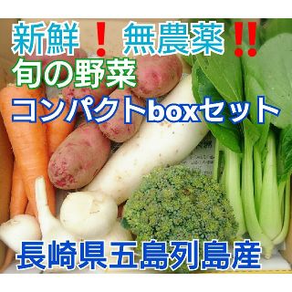 無農薬❗新鮮野菜セット〈コンパクトbox〉(ラインナップのこ確認を) 五島列島産(野菜)