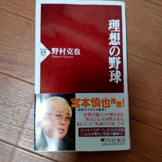 理想の野球(文学/小説)