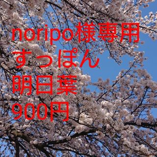 noripo様専用ページ(その他)