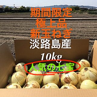 ★極上品★ 期間限定出荷　淡路島産　たまねぎ　10kg  淡路　タマネギ(野菜)