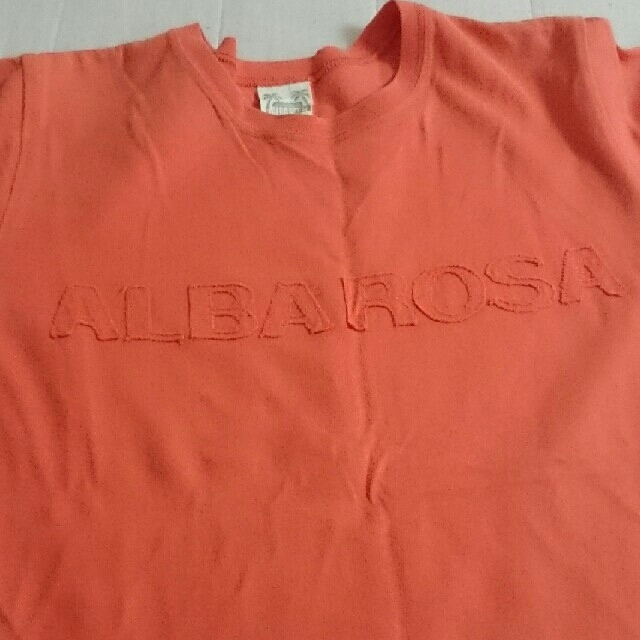 ALBA ROSA(アルバローザ)のアルバローザ レディース Tシャツ レディースのトップス(Tシャツ(半袖/袖なし))の商品写真