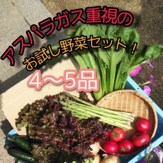 アスパラガス重視の野菜詰め合わせ　4〜5品種　野菜詰め合わせ　お試し野菜セット(野菜)