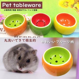 キティラブリー様専用  オレンジ、キウイ(小動物)