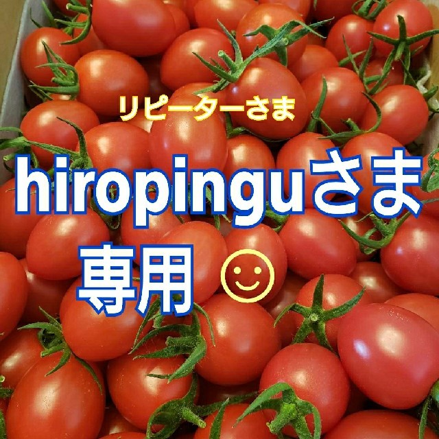 ４㎏  hiropinguさま専用です☺️ ミニトマト 食品/飲料/酒の食品(野菜)の商品写真