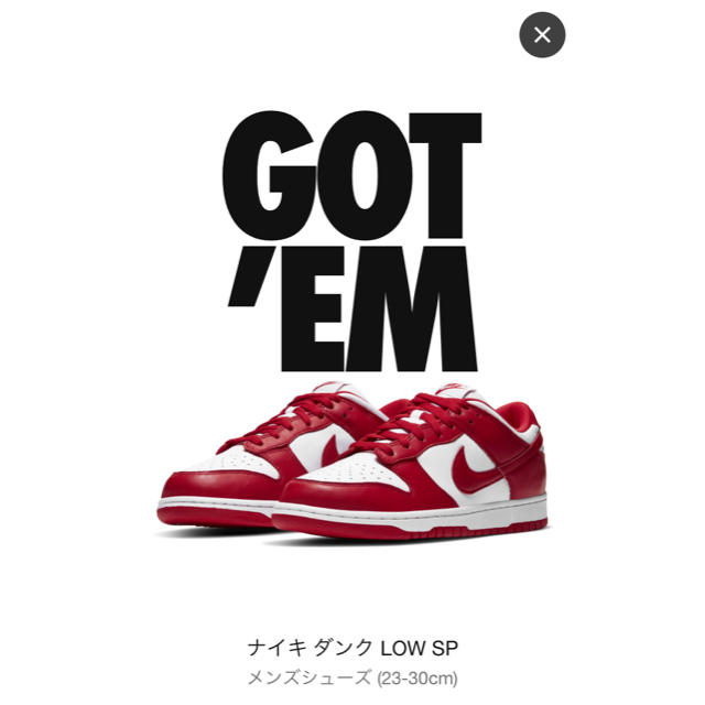 NIKE ダンクLOW University Red 29cm - スニーカー