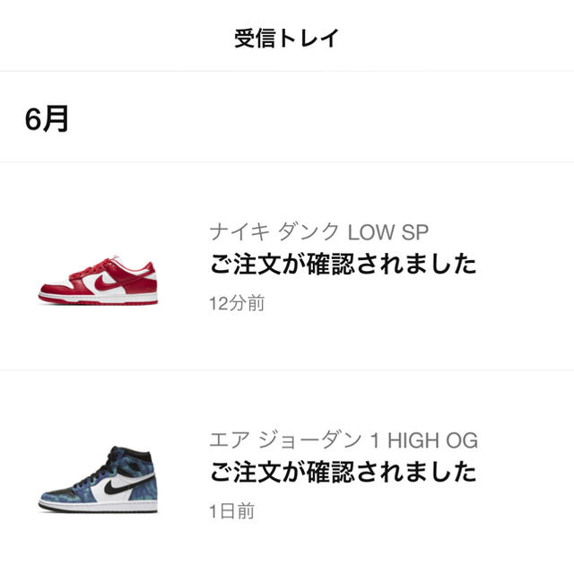 NIKE(ナイキ)のNIKE DUNK LOW SP Red 25.5cm メンズの靴/シューズ(スニーカー)の商品写真