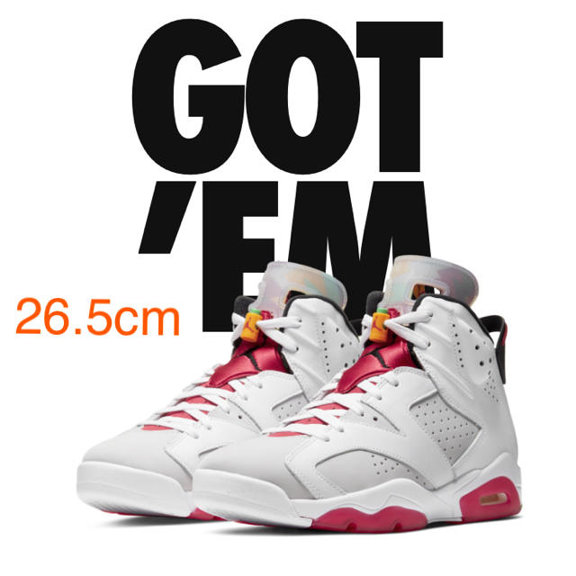 NIKE Air Jordan 6 Neutral Grey HARE 26.5メンズ