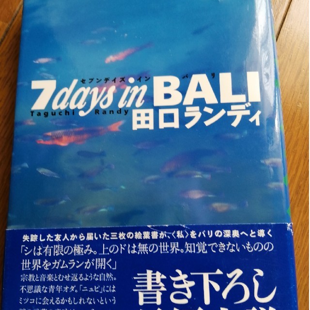 書籍　7days in BALI　田口ランディ著  エンタメ/ホビーの本(文学/小説)の商品写真