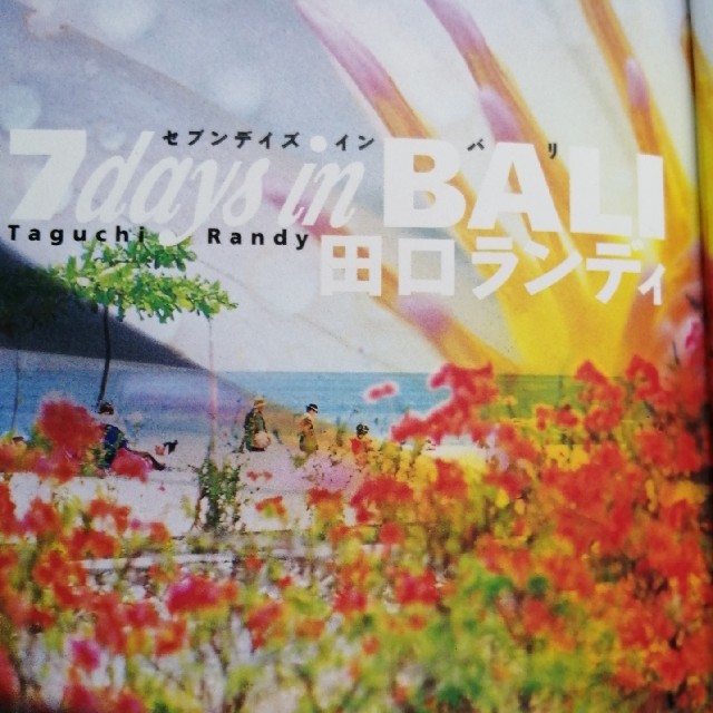 書籍　7days in BALI　田口ランディ著  エンタメ/ホビーの本(文学/小説)の商品写真