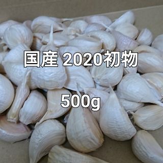 500g(80粒前後)乾燥済み 令和2年度 初物 大分県産 にんにく(野菜)