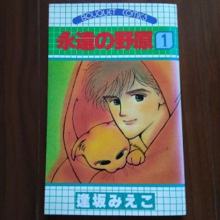 集英社 永遠の野原 逢坂みえこ 1 2巻の通販 By An S Shop シュウエイシャならラクマ 集英社 永遠の野原 逢坂みえこ 1 2巻の通販 By An S Shop シュウエイシャならラクマ