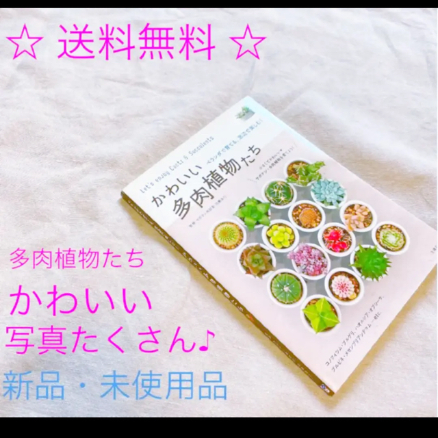 かわいい多肉植物　ベランダで、窓辺で楽しむ!  サボテン　夏の対応とハンドメイド エンタメ/ホビーの本(趣味/スポーツ/実用)の商品写真