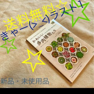 かわいい多肉植物　ベランダで、窓辺で楽しむ!  サボテン　夏の対応とハンドメイド(趣味/スポーツ/実用)