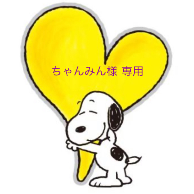 SNOOPY(スヌーピー)のちゃんみん様 専用 キッズ/ベビー/マタニティの寝具/家具(タオルケット)の商品写真