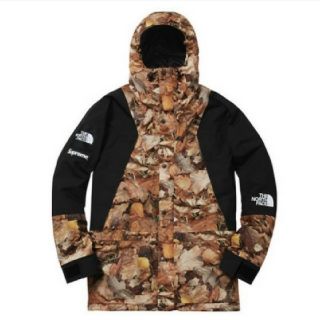 シュプリーム(Supreme)の枯葉 M 落ち葉　Mountain Light Jacket Leaves (マウンテンパーカー)