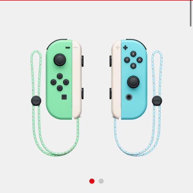 あつまれどうぶつの森 スイッチ　Joy-Con™ Nintendo Switch