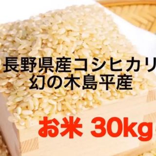 令和元年度　木島平産 コシヒカリ お米 30kg(米/穀物)