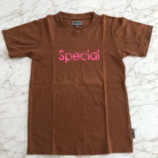 Tシャツ 茶 ブラウン 半袖 美品(Tシャツ/カットソー(半袖/袖なし))