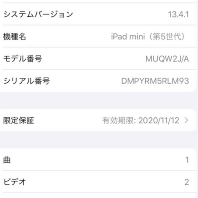 極美品 Apple iPad mini5 64GB Wi-Fi スペースグレイ