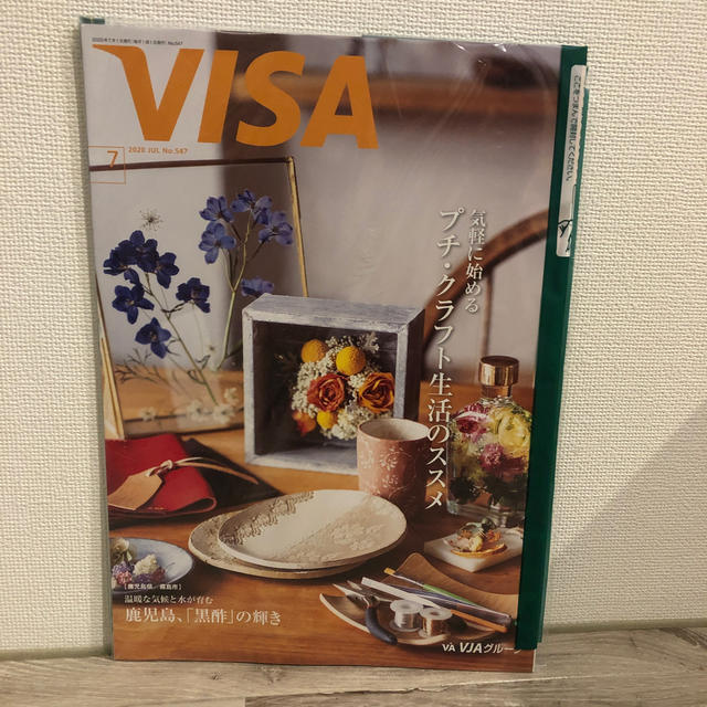 ANA(全日本空輸)(エーエヌエー(ゼンニッポンクウユ))のVISA 情報誌 エンタメ/ホビーの雑誌(アート/エンタメ/ホビー)の商品写真