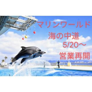 【いもこぞう様専用】チケット3枚(水族館)