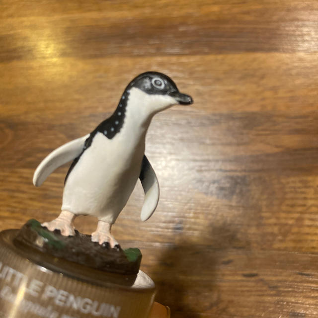 海洋堂(カイヨウドウ)の海洋堂ネイチャーフィギュアコレクション　リトルペンギン　ボトルキャップ ハンドメイドのおもちゃ(フィギュア)の商品写真