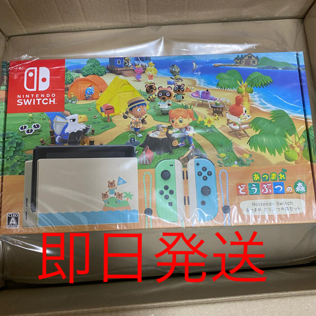 NINTENDO Switch あつまれどうぶつの森セット