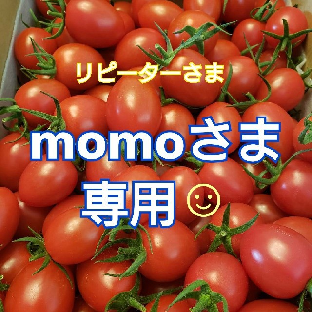 ２㎏ momoさま専用です☺️  ミニトマト 食品/飲料/酒の食品(野菜)の商品写真
